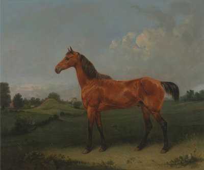 Ein braunes Pferd auf einem Feld von Edmund Bristow